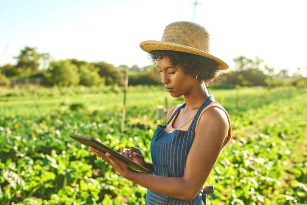 istock Shot of a young woman using a digital tablet while working on a farm 1373226768