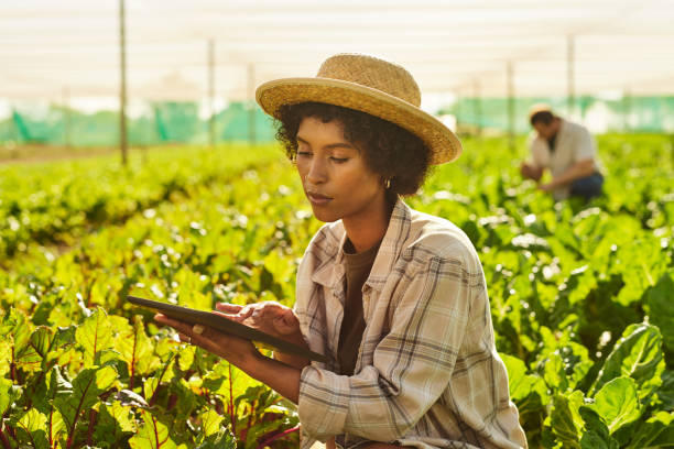 istock Shot of a young woman using a digital tablet while working on a farm 1373226776