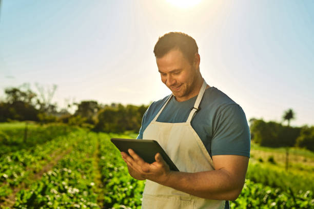 istock Shot of a young man using a digital tablet while working on a farm 1373226778