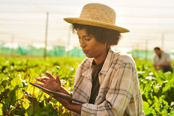 istock Shot of a young woman using a digital tablet while working on a farm 1373226779