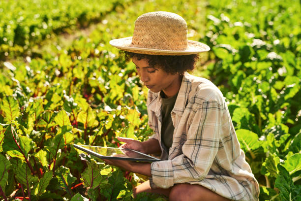 istock Shot of a young woman using a digital tablet while working on a farm 1373226780
