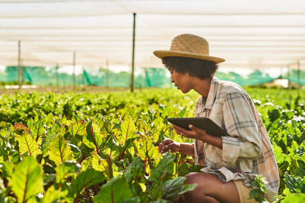 istock Shot of a young woman using a digital tablet while working on a farm 1373226781