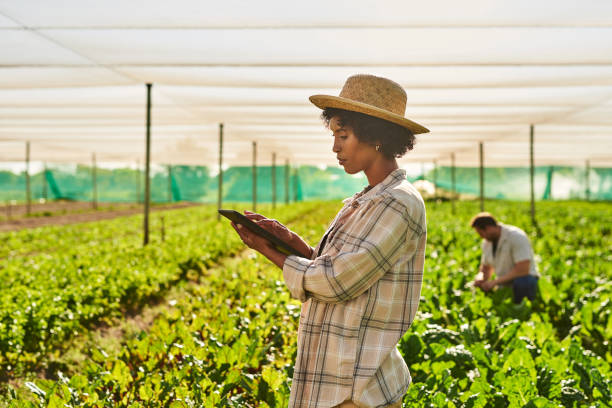 istock Shot of a young woman using a digital tablet while working on a farm 1373226782