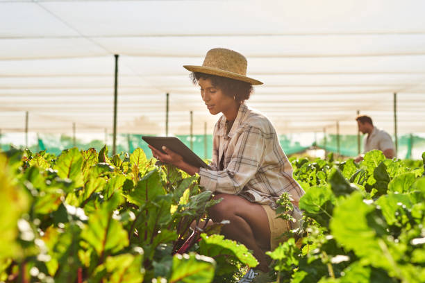 istock Shot of a young woman using a digital tablet while working on a farm 1373226784