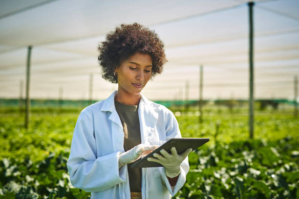 농장에서 작물로 작업하는 동안 디지털 태블릿을 사용하여 젊은 과학자를 촬영 - 과학자 뉴스 사진 이미지