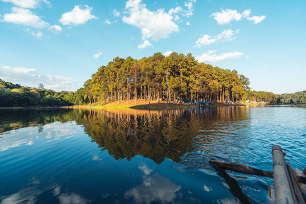 istock Nature lake and forest Camping location 1373227841