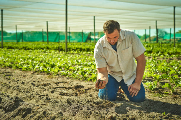 istock Shot of a young man working on a farm 1373228553