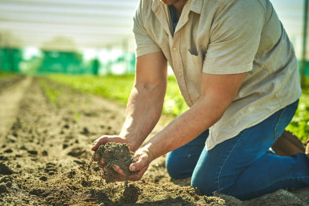 istock Shot of an unrecognisable man working with soil on a farm 1373228560