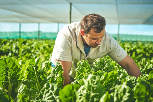 istock Shot of a young man working on a farm 1373228571