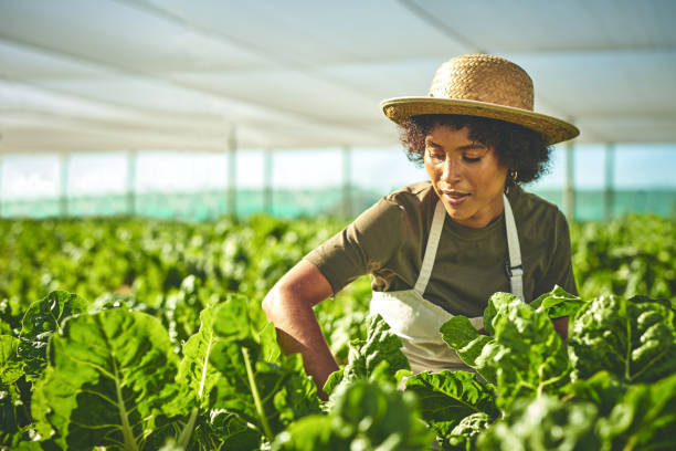 istock Shot of a young man working on a farm 1373228623