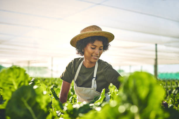 istock Shot of a young man working on a farm 1373228641