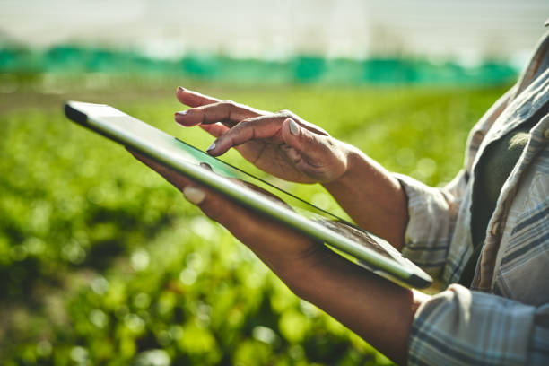 농장에서 일하는 동안 디지털 태블릿을 사용하여 인식 할 수없는 여성의 샷 - farm farmer vegetable field 뉴스 사진 이미지