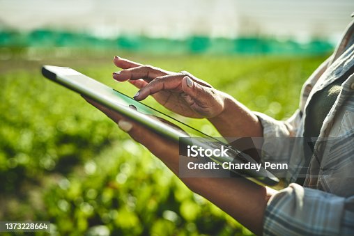 istock Shot of an unrecognisable woman using a digital tablet while working on a farm 1373228664