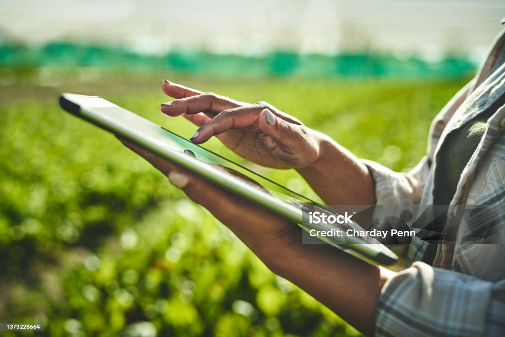 Shot of an unrecognisable woman using a digital tablet while working on a farm Tapped into the latest farming techniques Sustainable Lifestyle Stock Photo
