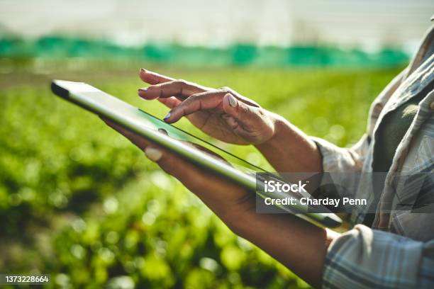 Shot Of An Unrecognisable Woman Using A Digital Tablet While Working On A Farm Stock Photo - Download Image Now
