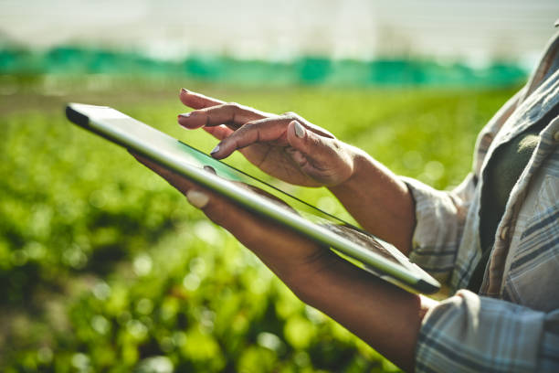 снимок неузнаваемой женщины, использующей цифровой планшет во время работы на ферме - сельское хозяйство стоковые фото и изображения