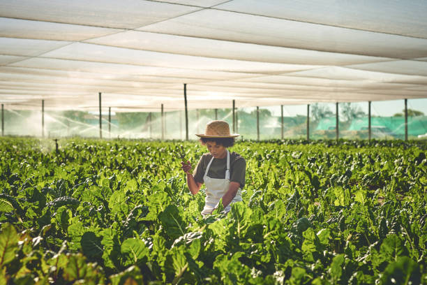 istock Shot of a young man working on a farm 1373228671