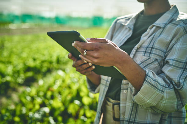 istock Shot of an unrecognisable woman using a digital tablet while working on a farm 1373229300