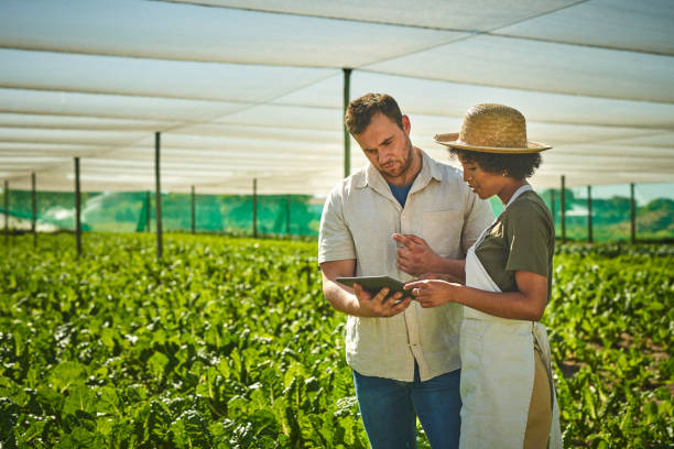istock Shot of a young man and woman using a digital tablet while working on a farm 1373229308