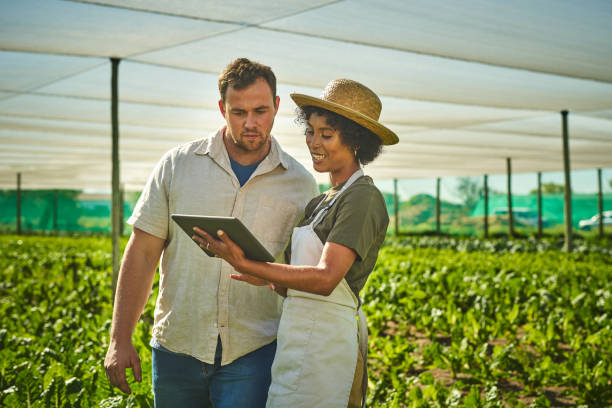 Shot of a young man and woman using a digital tablet while working on a farm