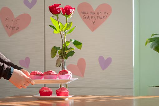 Low budget, simple, sustainable and healthy Valentine's Day celebration.  Homemade vegan (whole food) raspberry cupcakes in re-useable heart shaped silicone cups and hand made paper heart decorations served at home.  Vancouver, British Columbia, Canada