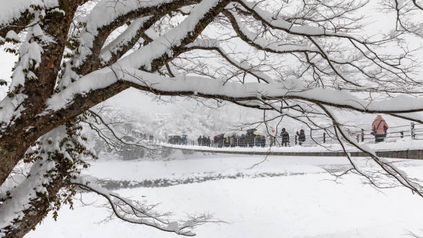 istock shirakawa go snow season japan 1373230778