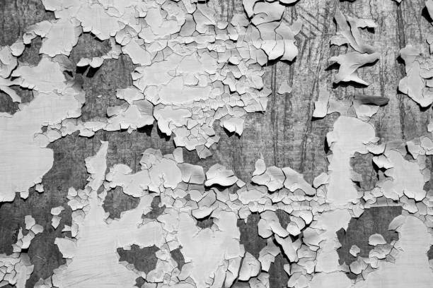 istock Cracked paint on mangy, metal surface, background black and white 1373232056