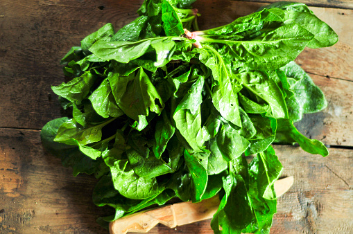 Fresh harvested organic spinach with wooden knife on wooden table