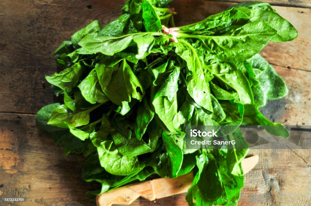 Fresh harvested organic spinach Fresh harvested organic spinach with wooden knife on wooden table Bunch Stock Photo