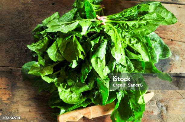 Fresh Harvested Organic Spinach Stock Photo - Download Image Now - Bunch, Spinach, Veganism