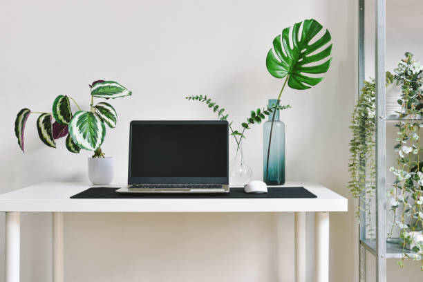 istock Home office decorate with green nature tree plants, Workspace and laptop computer on desk, Artificial houseplant for home and living room interior. 1373232913