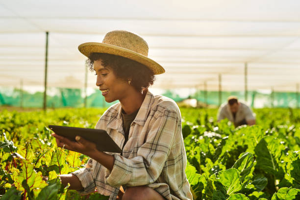 istock Shot of a young woman using a digital tablet while working on a farm 1373233703