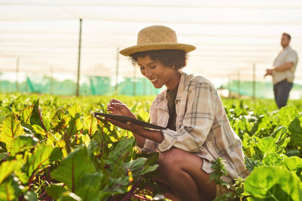 istock Shot of a young woman using a digital tablet while working on a farm 1373233705