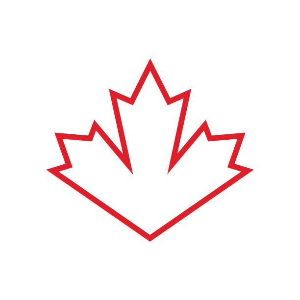 마플 리프 - canadian culture leaf symbol nature stock illustrations