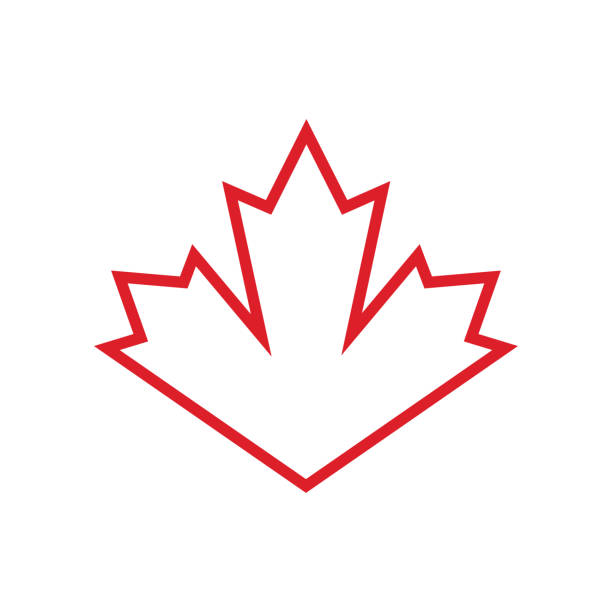 liść marple - canada canadian culture leaf maple stock illustrations