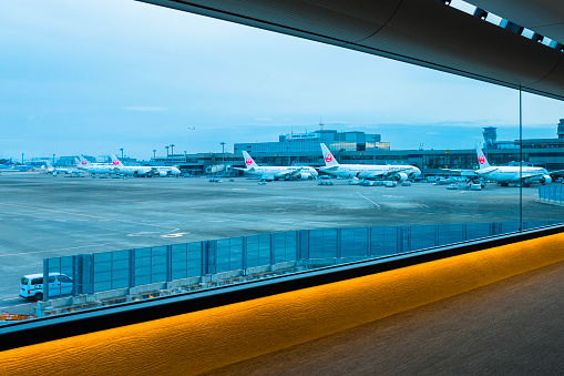 In January 2020, the planes of Japan Airlines arriving at Narita Airport were parked in the airport building in an orderly manner.