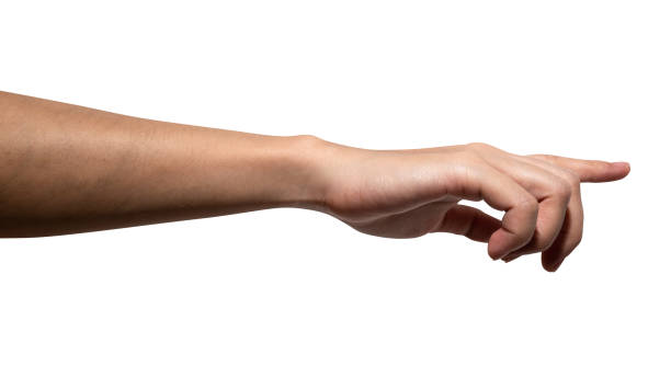 istock Woman hand touching or pointing to something isolated on white background. 1373237762