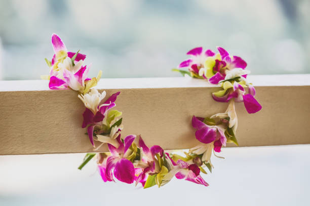 concepto de viaje del icono de hawaii luau: collar de flores lei frescas, fondo de vacaciones tropicales en la isla hawaiana de kauai - hawaiian orchid fotografías e imágenes de stock