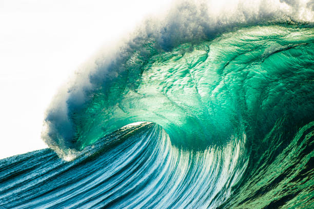 istock Morning sun shining through a tall breaking ocean wave with blue sky 1373240917