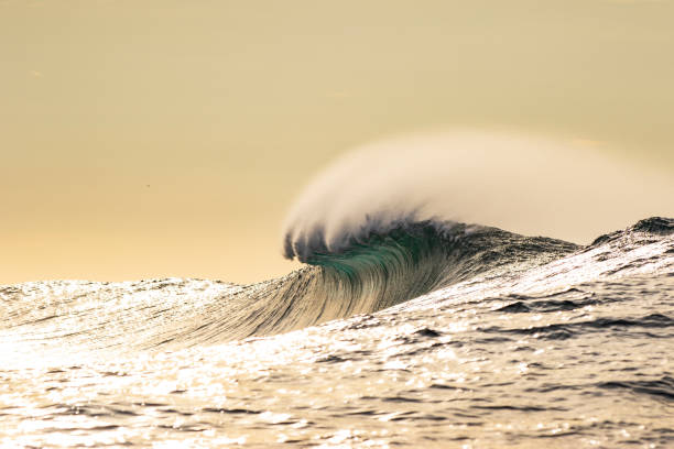 Isolated peaking wave in the ocean on a bright warm sunny morning with minimal golden backdrop