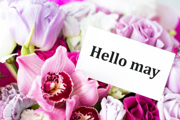 istock Hello May hand lettering card. Spring lilac flowers in envelope. 1373246026