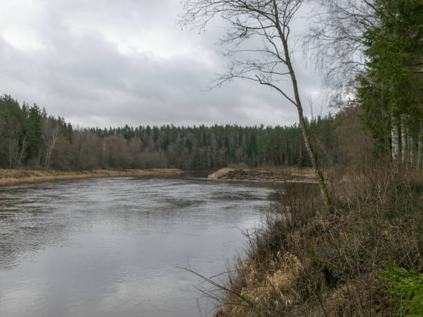 istock landscape with river and trees on shore 1373246923