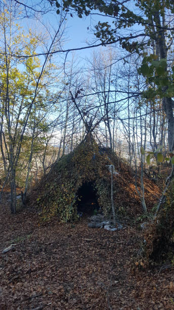 istock Bush craft house in the forest 1373248161