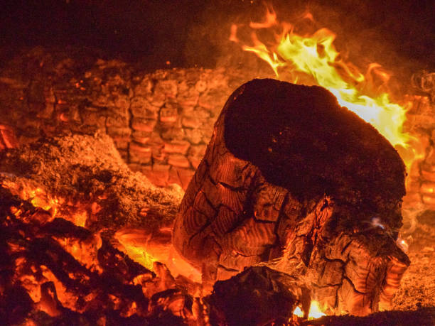 istock smoke and flames of a campfire 1373248270