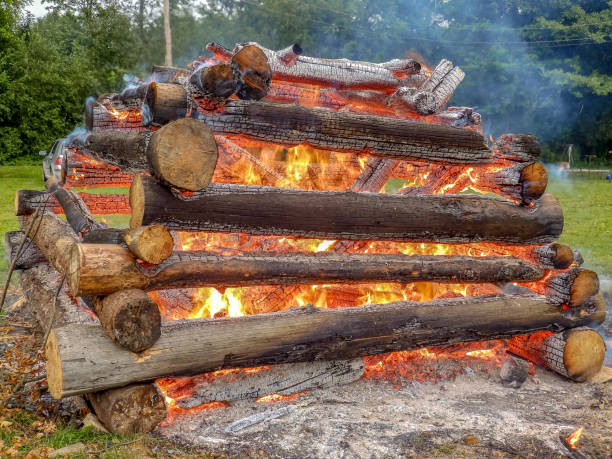 istock smoke and flames of a campfire 1373248357