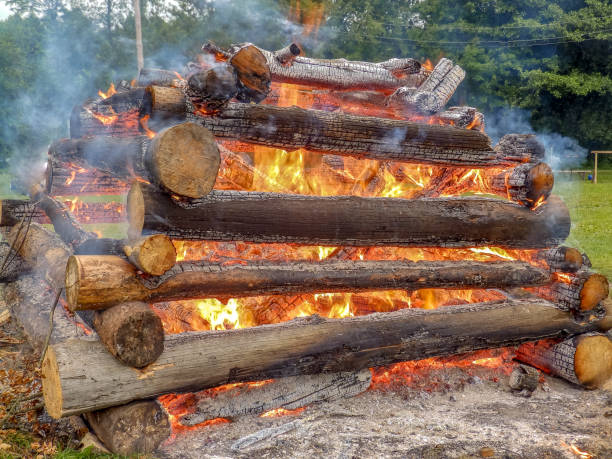 istock smoke and flames of a campfire 1373248394