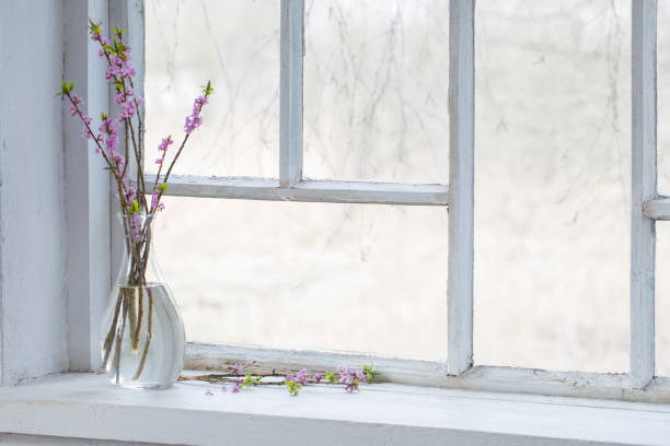istock daphne flowers in vase on vintage windowsill 1373252813
