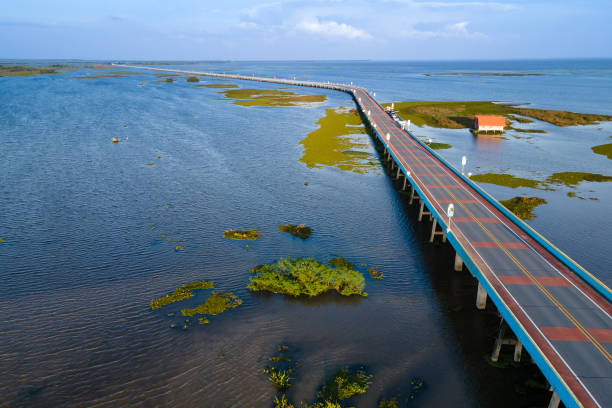 Aerial view of Ekachai Bridge in Phatthalung, Thailand Aerial view of Ekachai Bridge or Chaloem Phrakiat 80 Phansa Bridge. Located in Thale Noi, Connect between Phatthalung and Songkhla province in Thailand. phatthalung province stock pictures, royalty-free photos & images