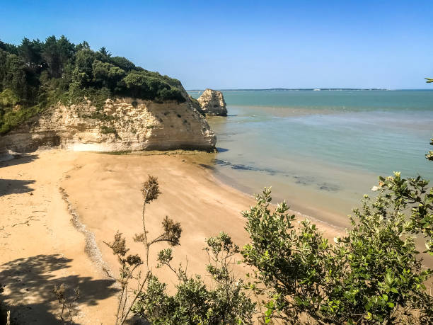 istock Beach and cliffs of Saint Georges De Didonne 1373258870