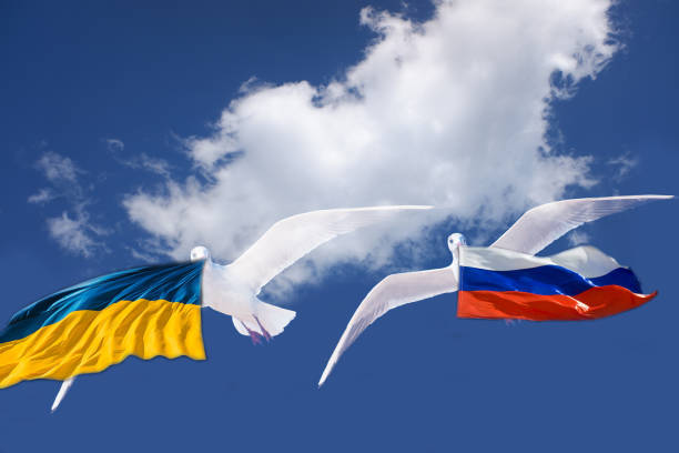 2 colomba bianca che tiene la bandiera uno che tiene la bandiera della russia e uno che tiene la bandiera dell'ucraina nella forma del segno di pacificazione che vola sul cielo blu per il concetto di libertà nel percorso di ritaglio, giornata internaziona - amityville foto e immagini stock